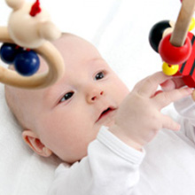 Baby manipuleert de Montessori puzzelbal