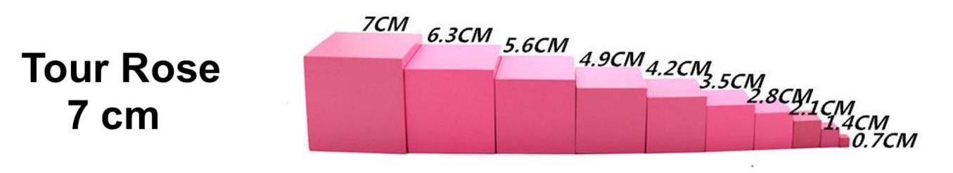 Reeks van 10 houten kubussen van de Roze Toren van 0,7 cm tot 7 cm