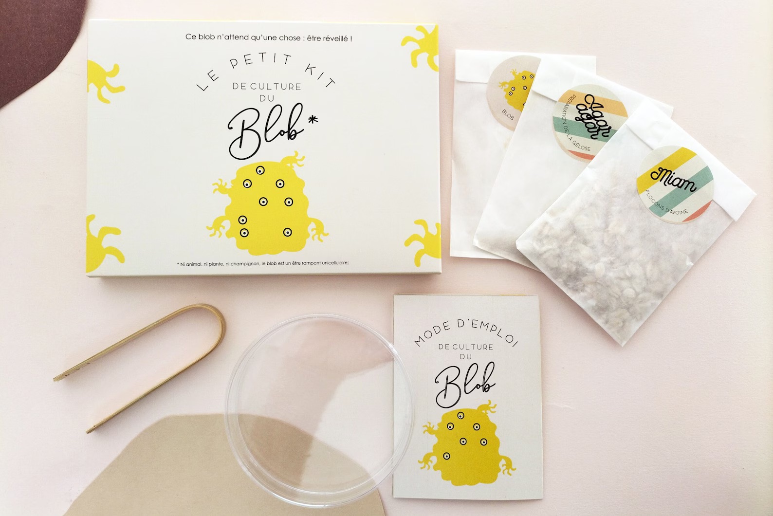 Slime Mould Kit – Sleeping Blob, Petri Dish and Agar