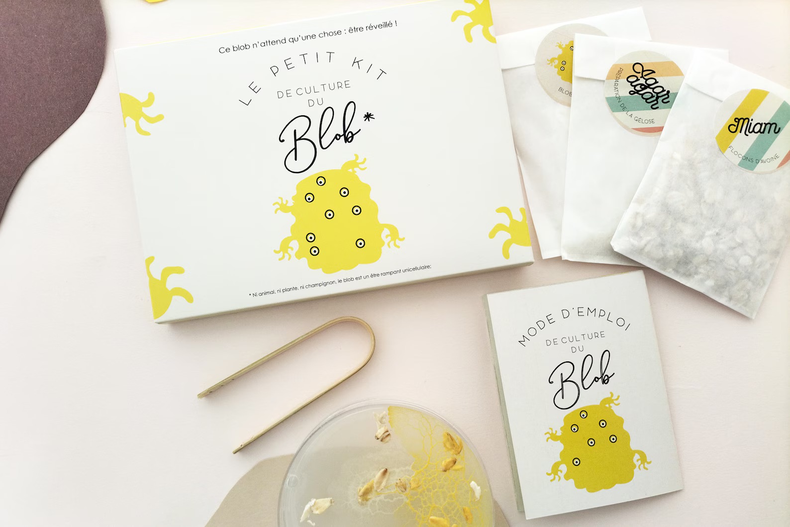 Slime Mould Kit – Sleeping Blob, Petri Dish and Agar - Weergave 3