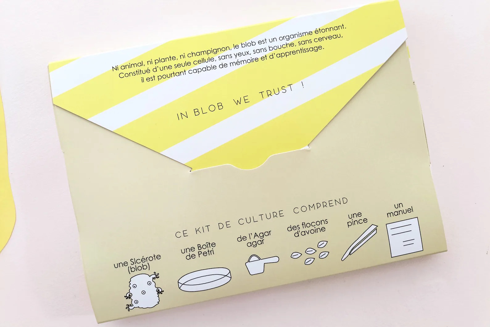 Slime Mould Kit – Sleeping Blob, Petri Dish and Agar - Weergave 4