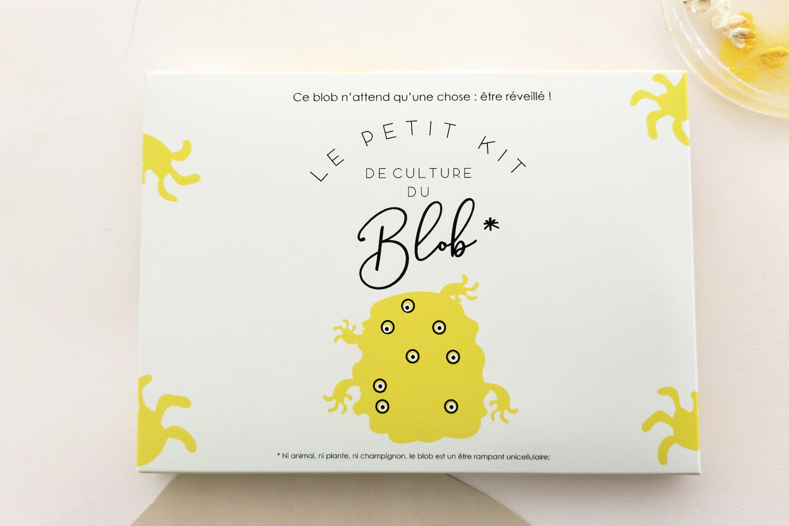 Slime Mould Kit – Sleeping Blob, Petri Dish and Agar - Weergave 6