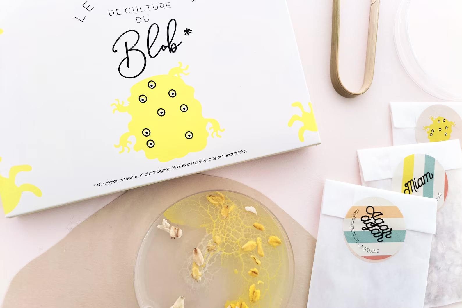 Slime Mould Kit – Sleeping Blob, Petri Dish and Agar - Weergave 9