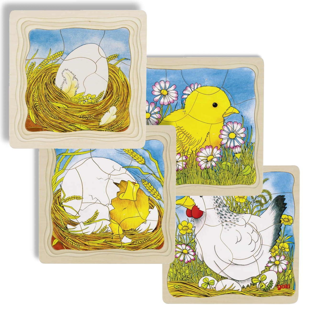 Wooden Chicken Life Cycle Puzzle – Egg to Hen, 4 Layers - Weergave 2